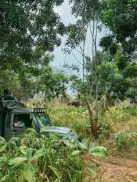 野生ゾウの楽園🐘Hurulu Eco Park🇱🇰