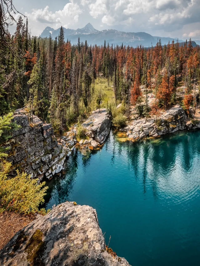 4️⃣  Reasons Why Jasper National Park Should Be Your Next Destination