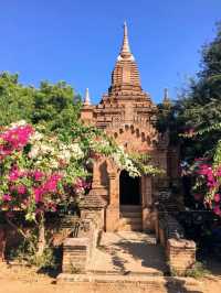 蒲甘王國最後一座緬式佛塔，九重葛花海中的悉隆敏羅佛塔 Htilominlo Pagoda 