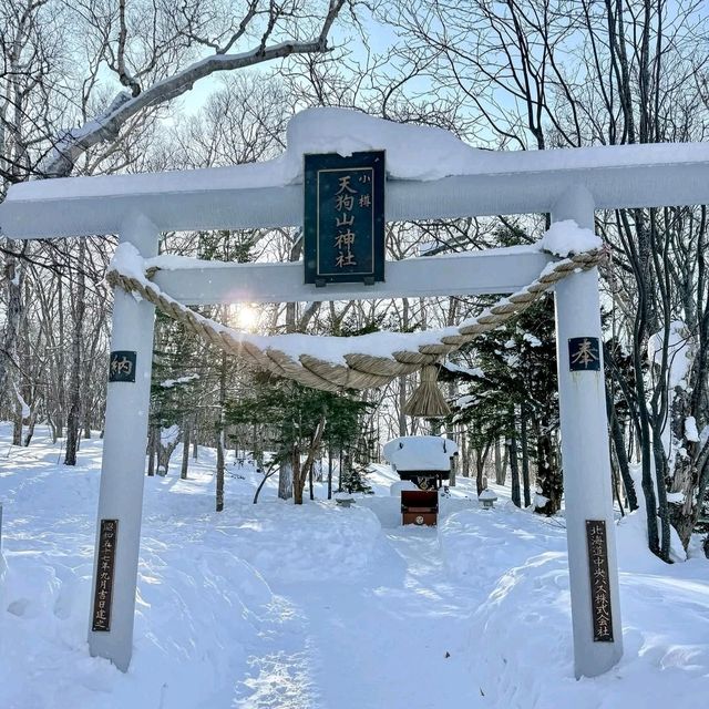 Scenic Skiing at Hokkaido Tenguyama