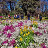 Serene Escape: Fitzroy and Treasury Gardens in East Melbourne