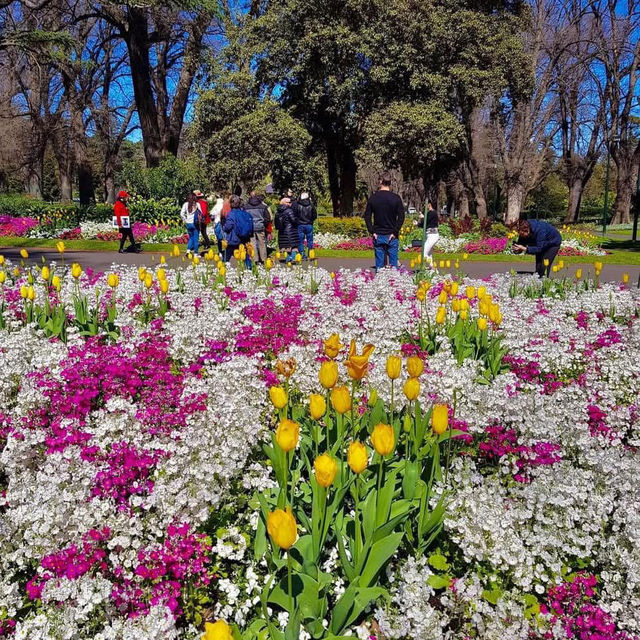 Serene Escape: Fitzroy and Treasury Gardens in East Melbourne