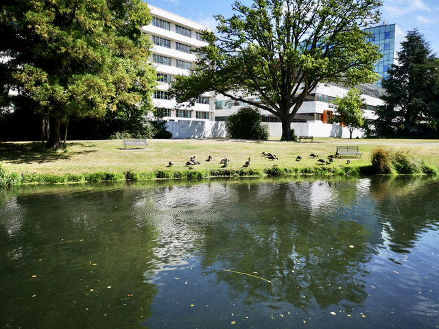 🇳🇿 新西蘭基督城 最像英國的城市？