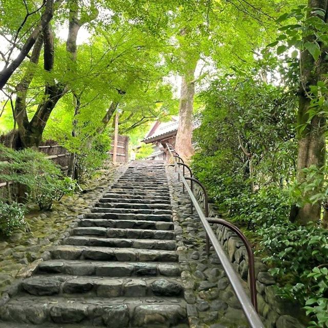 Kegonji Temple (Suzumushi-dera Temple)