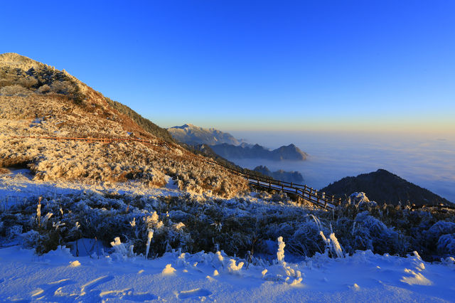 神農架霧凇枝頭醉遊人，邂逅你的冰雪奇緣