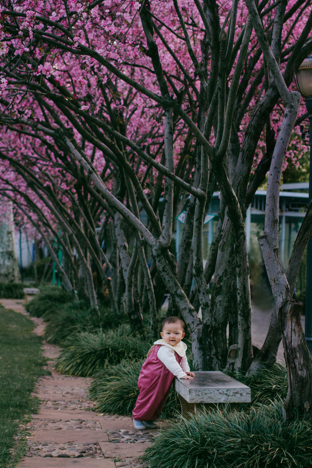 昆明春天的公園也太好拍了