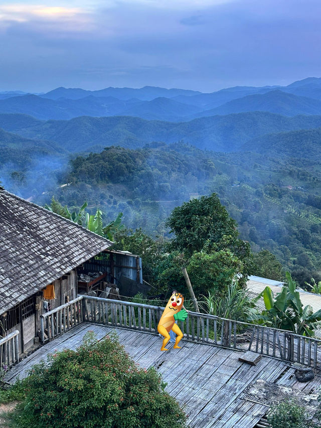 在景邁山，輕易收穫一場日出雲海。