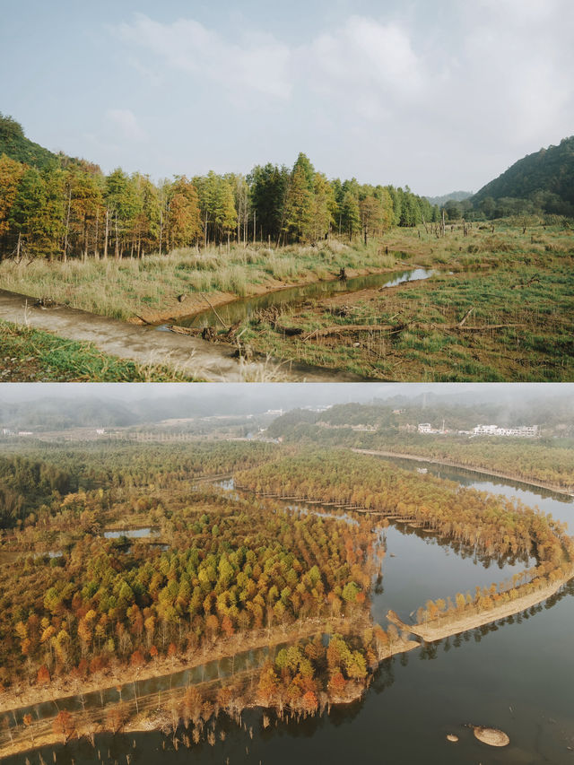 皖南川藏線的秋天開始啦 帶娃住進風景裡。