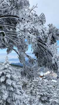 轎子雪山下雪了一日遊攻略放這裡了。