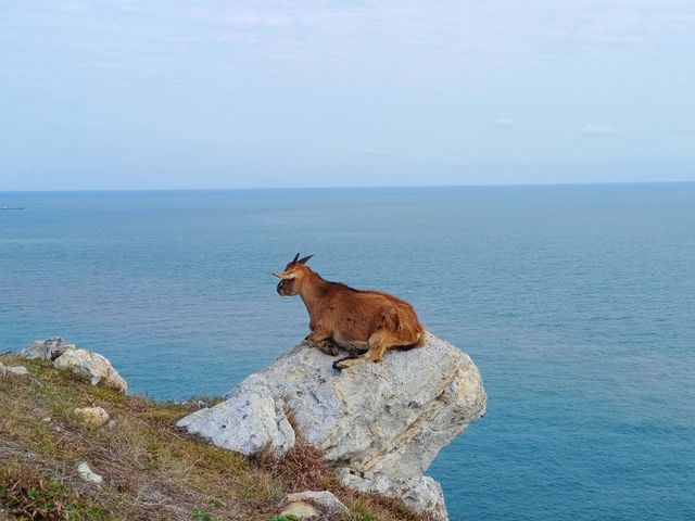 打卡四礵列島！！美得令人驚嘆。