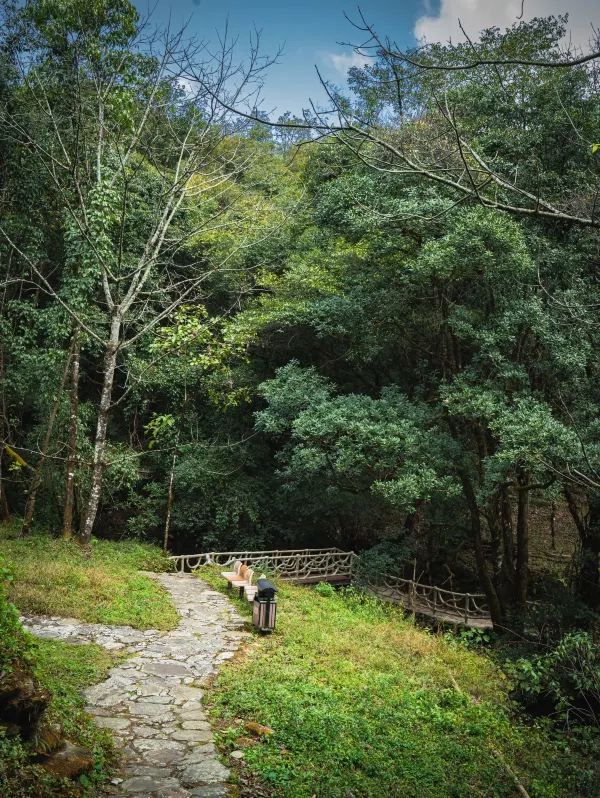 🛵反向旅遊目的地之二，哀牢山自然保護區