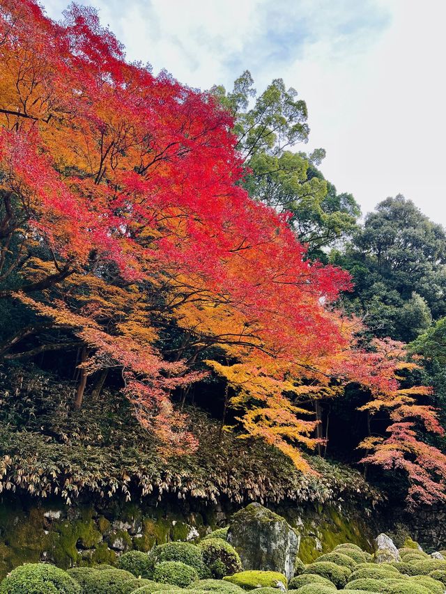 日本·京都