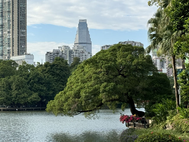 藏在城市裡的綠洲公園——東山湖公園