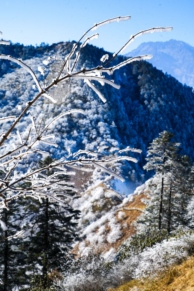 四川旅行｜美爆了的西嶺雪山，從早嗨到晚！