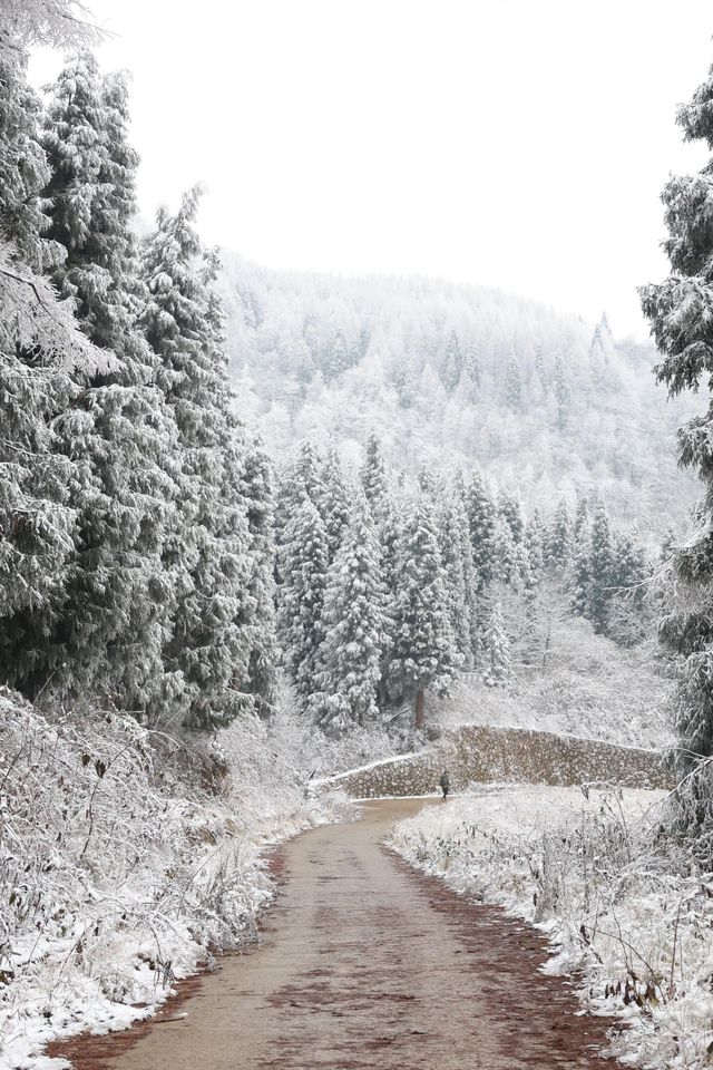 成都出發1.5小時免費觀賞超美霧凇雪景