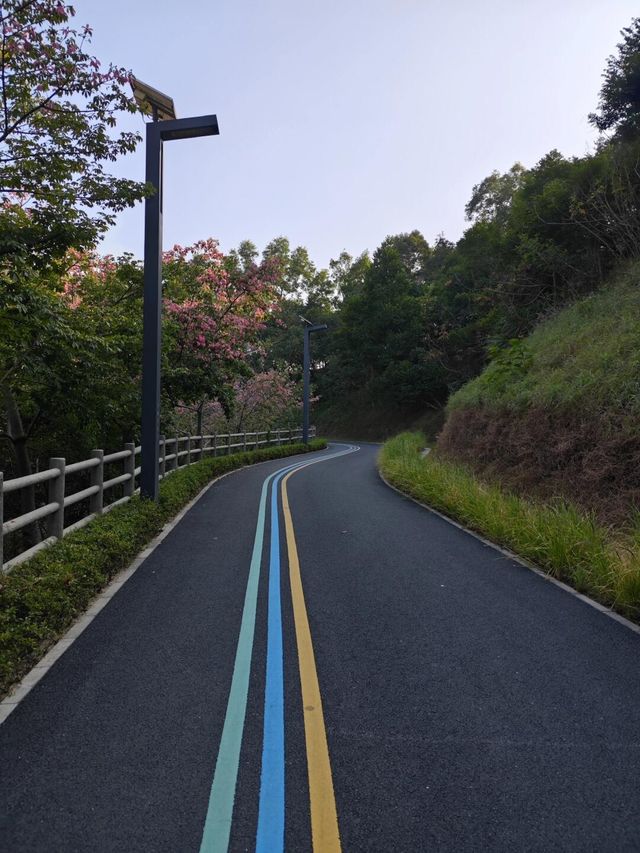 藏在市區裡綠野仙蹤公園地鐵直達