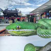 Amazing Snake Temple in Penang