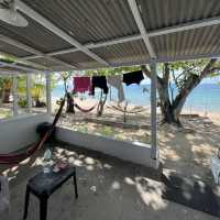 Coral Reef, Tekek - Tioman 