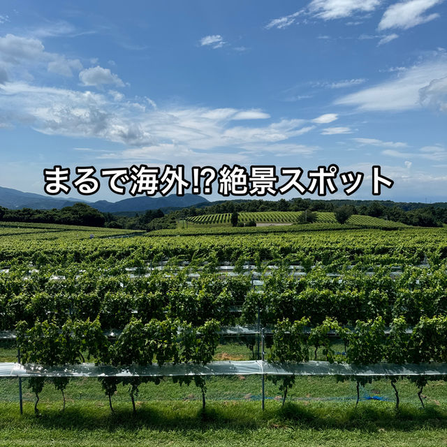 【静岡】海外気分が味わえる突如現れる絶景