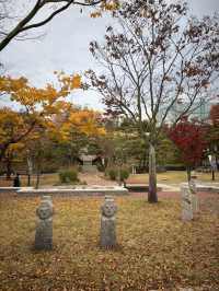 조선의 베스트셀러 전시가 열리는 전주 박물관🫡