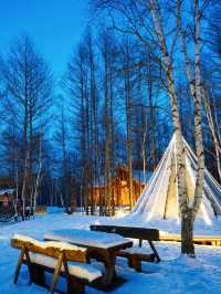 Hulunbuir Grassland in Winter: A Snowy Wonderland