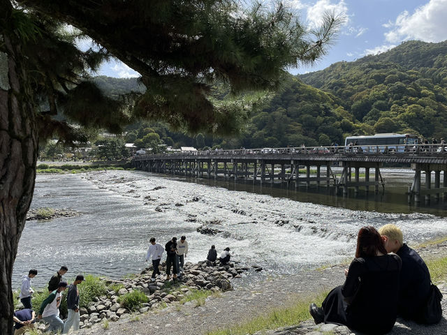 京都　渡月橋と竹林