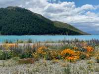 A Serene Escape to Lake Tekapo