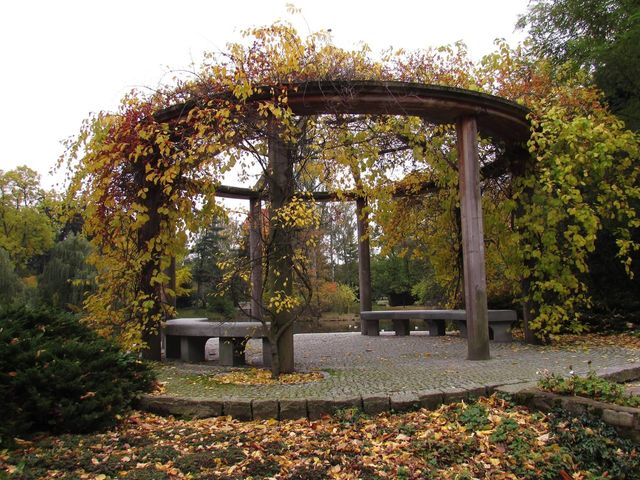 Beautiful autumn in Ujazdowski Park 🗺️