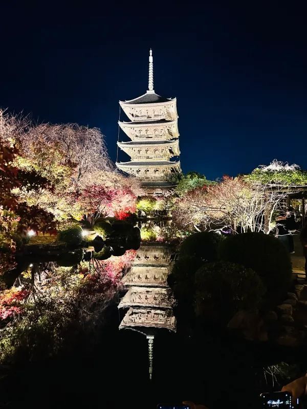 Special Opening: Kyoto Toji Temple Night Maple Light Show