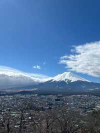 秋日限定日本8日遊 美景一網打盡。