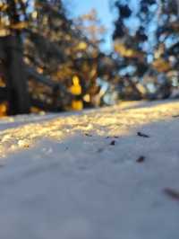 雲海環繞朝霞滿天，赴一趟西嶺雪山！。