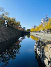 日本·和歌山城。