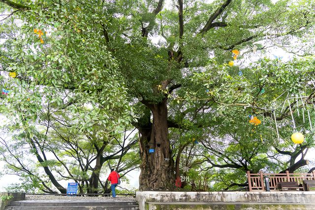 貴州「村超」發源地。