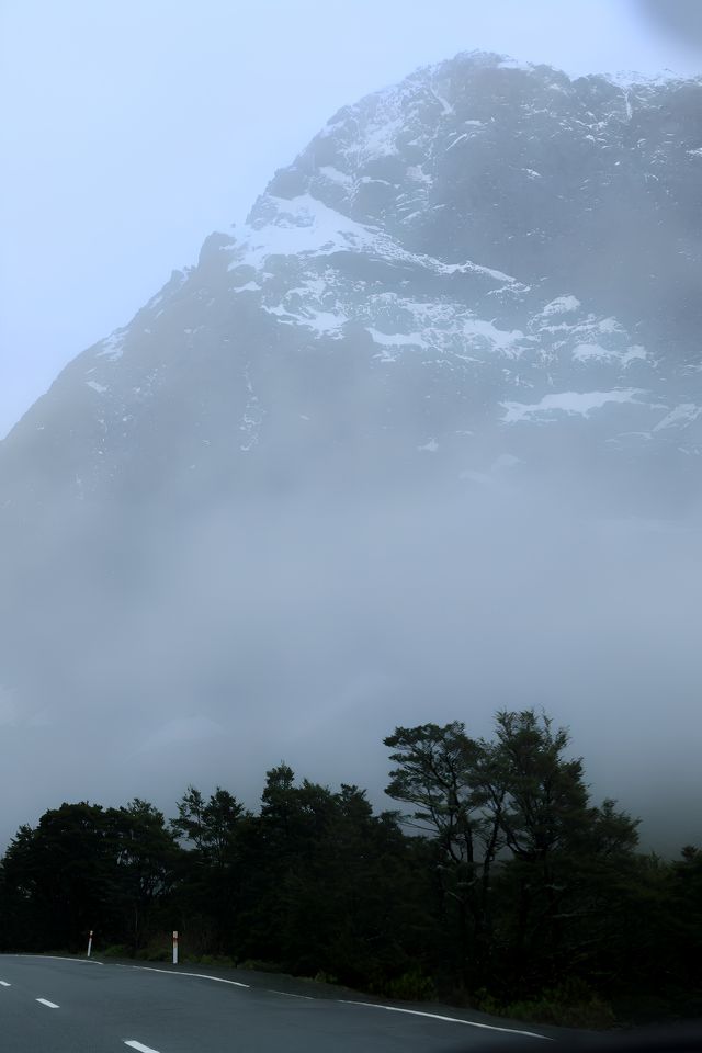 蒂阿瑙—米爾福德峽灣沿途的治癒系風景