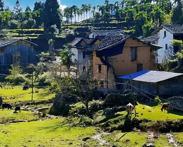 斗湖：沙巴的魅力秘鑰