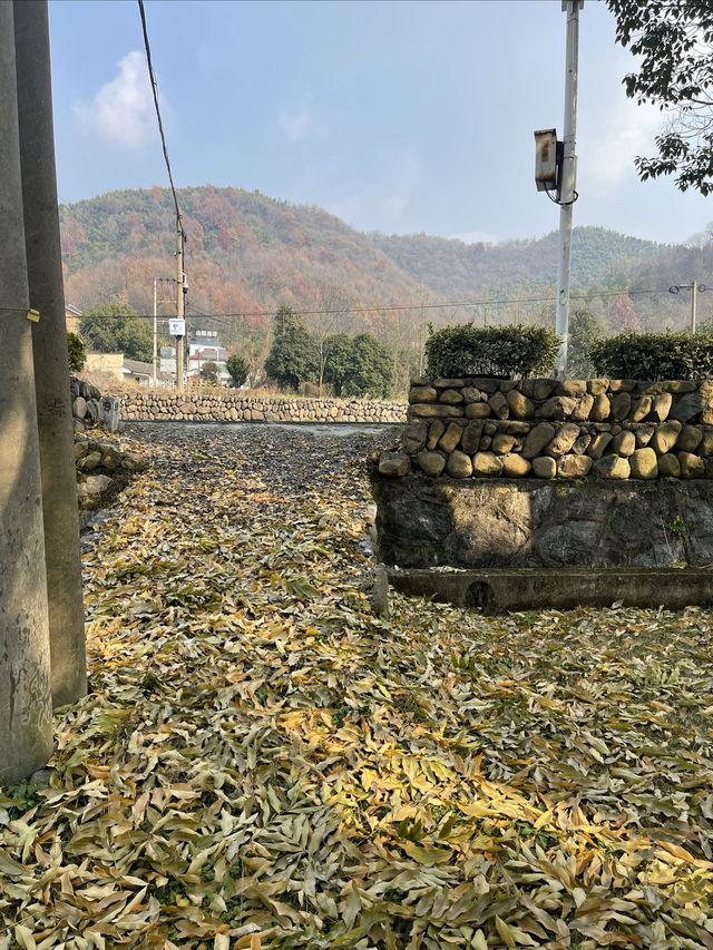 鄉村路上的風景線|銀坑村