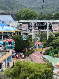 Ultimate Guide to Hong Kong Ocean Park: A Must-Read for Visitors!