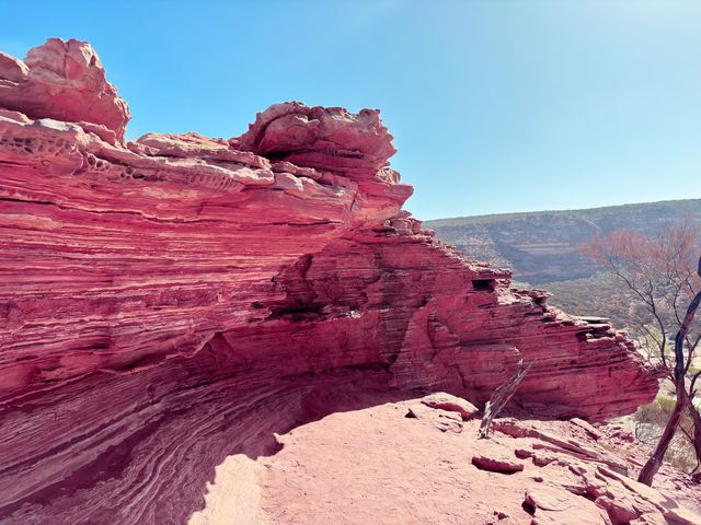 Kalbarri Natures Window! I see the world!😎🫣