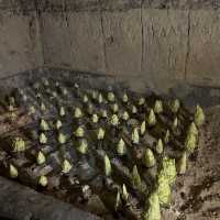 Maastricht Underground: A Journey Beneath the City