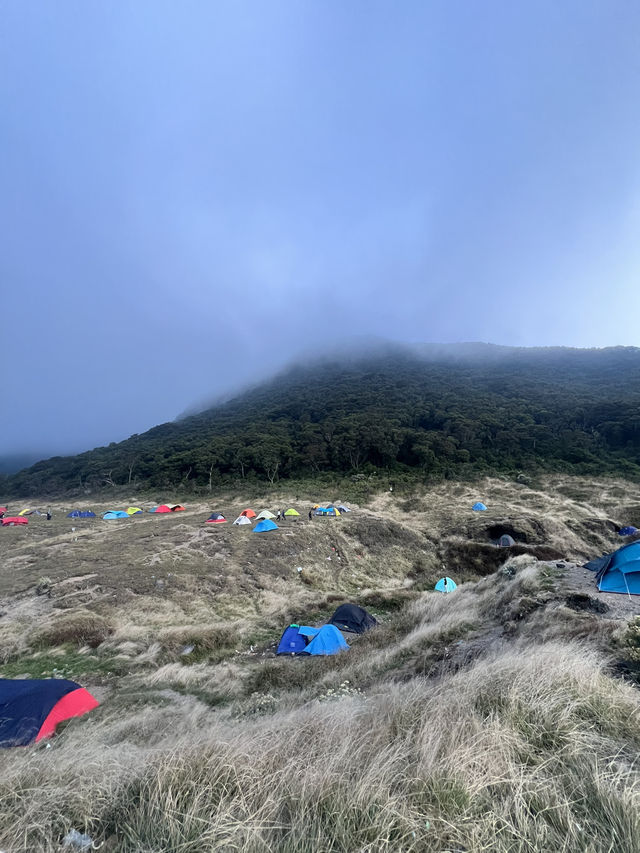 Camping At Surya Kencana Mt Gede ⛺️ 