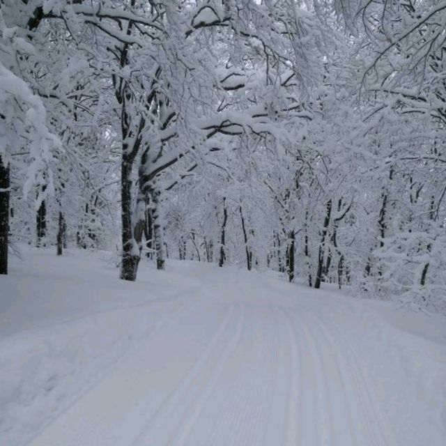 Quebec City, Quebec