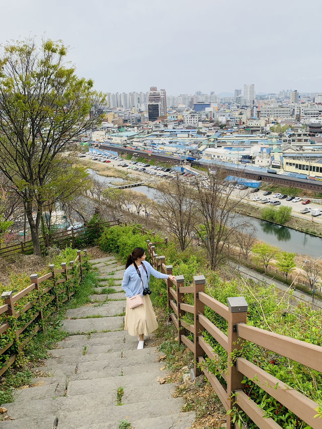 Chilbong: Blooming Wonders and Panoramic Views of Jeonju