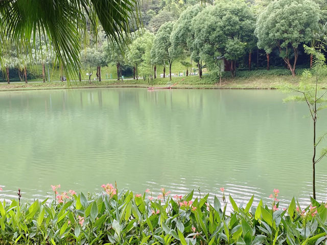 珠海鬥門黃楊八景——人文與自然的和諧美景