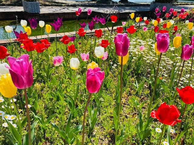 福岡大濠公園：城市中的寧靜綠洲