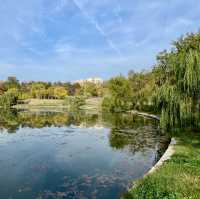 Morning Magic in Tineretului Park