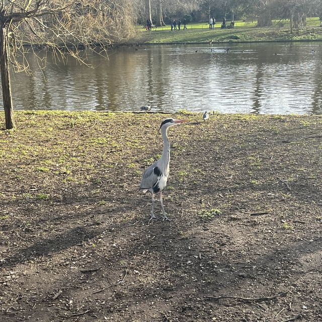 St James Park