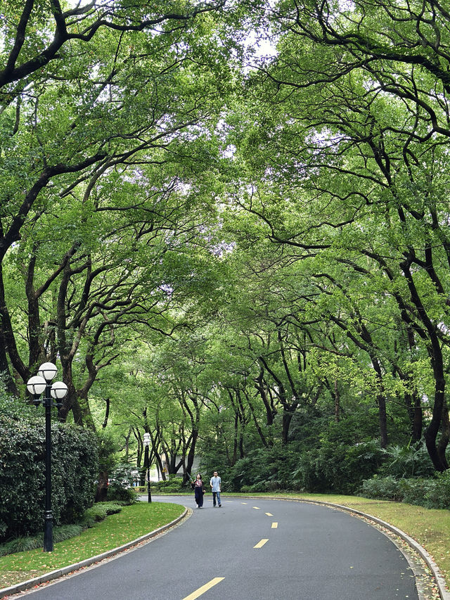 這座隱藏極深的秘密花園，居然開放啦