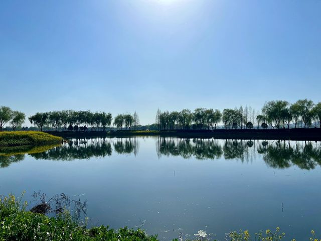 上海青西郊野公園｜上海避暑的水上自然園與綠野仙蹤