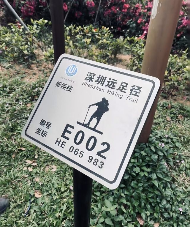 徒步吸氧|又發現一條深圳絕美綠道