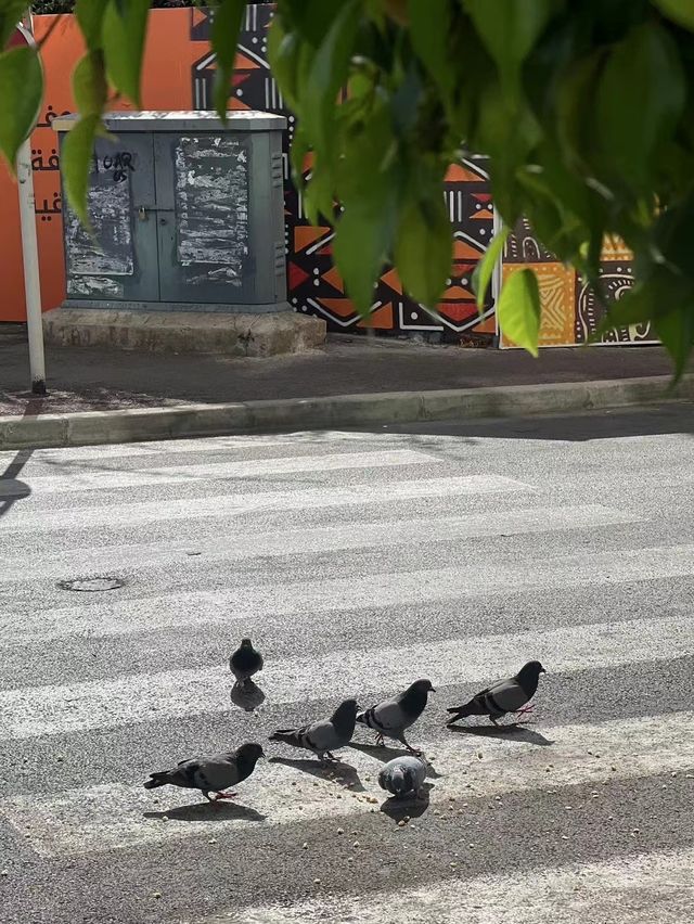 新加坡，夢中的花園城市。